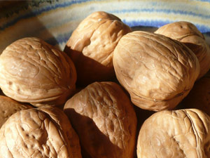 subject_walnuts