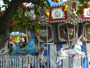 subject5_citrusfair_9