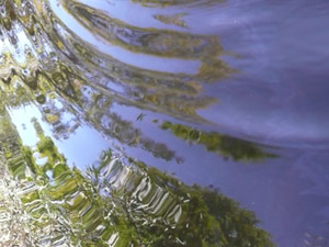 subject6_budistmed_c