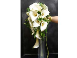 subject7_callalilly_a