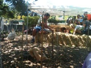 Photo Apr 20, 12 44 33