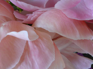 subject10_meditationspace_3