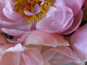 subject10_meditationspace_5