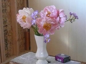 subject10_meditationspace_6