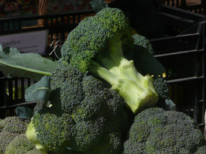 subject11_broccoli_02