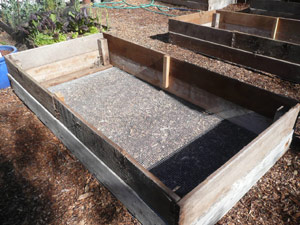 subject9_gardenbed_4