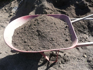 subject9_gardenbed_7