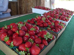 subject12_strawberry_3