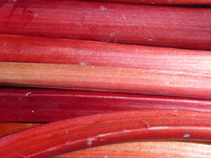 subject14_rhubarb_1