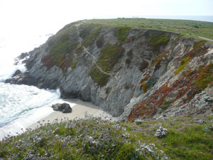 subject18_beaches_bodegah5