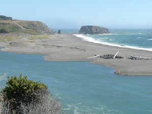 subject18_beaches_jenner