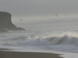 subject18_beaches_pretty5