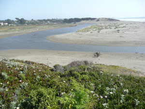 subject18_beaches_Salmon5