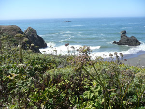 subject18_beaches_Shellb