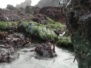 subject18_beaches_tpool1