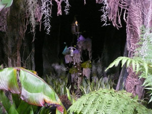 subject19_Fair_Fl_fairy2