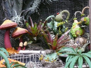 subject19_Fair_Fl_fairy5