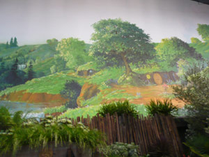 subject19_Fair_Fl_hobbit2