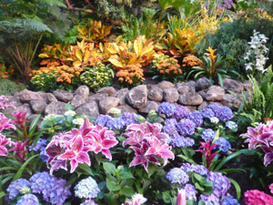 subject19_Fair_Fl_hobbit6