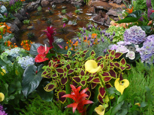 subject19_Fair_Fl_other2