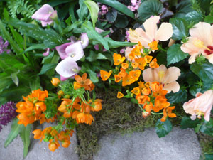 subject19_Fair_Fl_other3