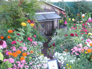 subject19_fair_flwrmini3