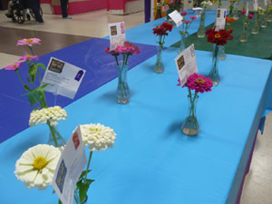 subject19_fair_flwrprize3