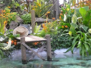 subject19_fair_flwrshow5