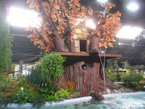 subject19_fair_flwrshow6