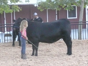 subject19_Fair_livestock1