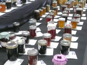 subject19_Fair_other1