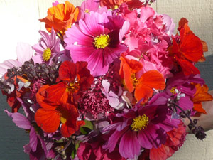 subject21_nastursh10