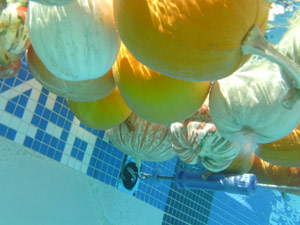 subject24_halloweenA_11