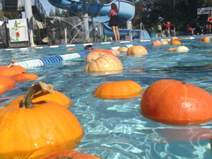 subject24_halloweenA_12