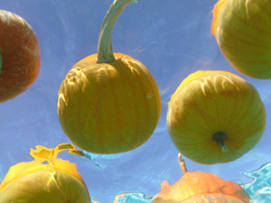 subject24_halloweenA_3