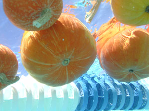 subject24_halloweenA_4