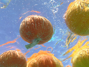 subject24_halloweenA_5