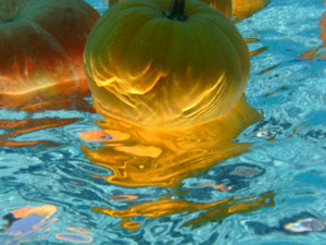 subject24_halloweenA_6