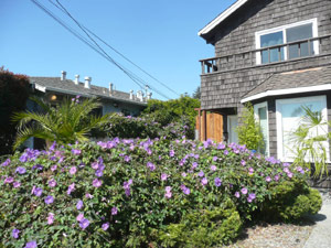 subject24_morningglory_6