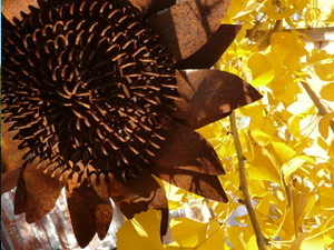subject25_fallcolor_ginko2