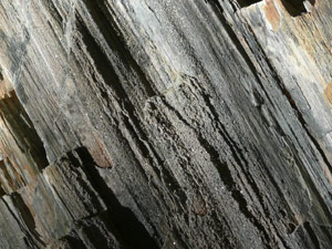 Y2sub29_petrifiedW03