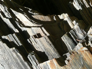 Y2sub29_petrifiedW05