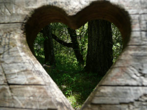 Y2sub29_petrifiedW09