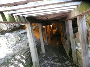 Y2sub29_petrifiedW18