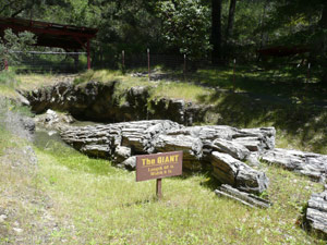 Y2sub29_petrifiedW19