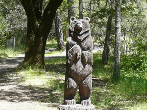 Y2sub29_petrifiedW27