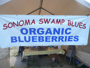 subject21_blueberries01