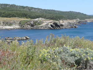 Y2sub31_saltpoint_landsc3