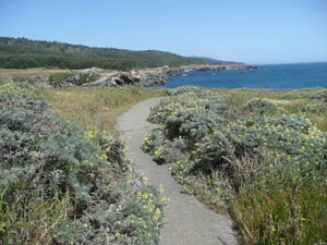 Y2sub31_saltpoint_landsc4