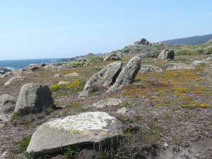 Y2sub31_saltpoint_landsc6